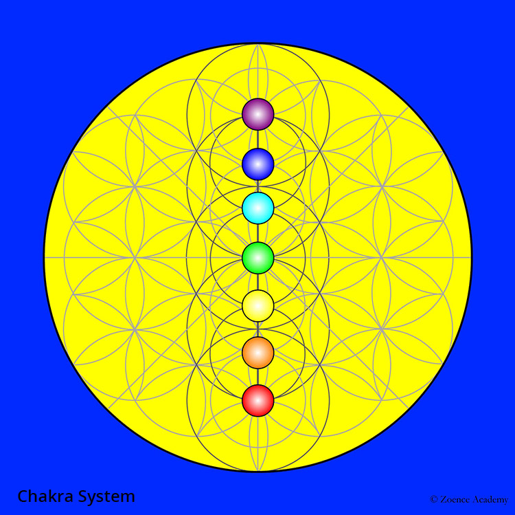 Chakra system